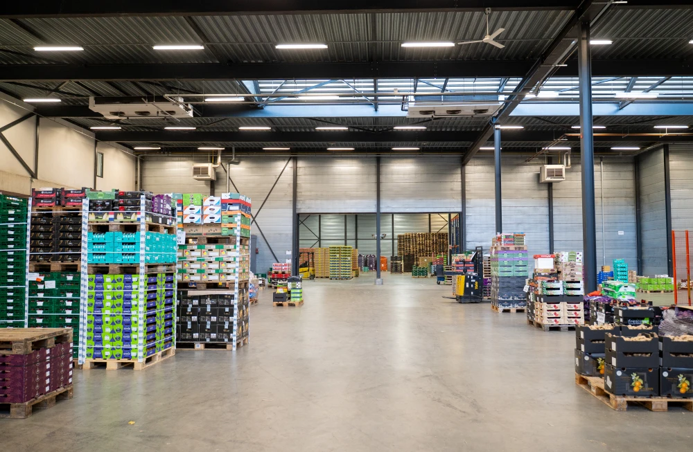 Beeldbank Solleveld 61