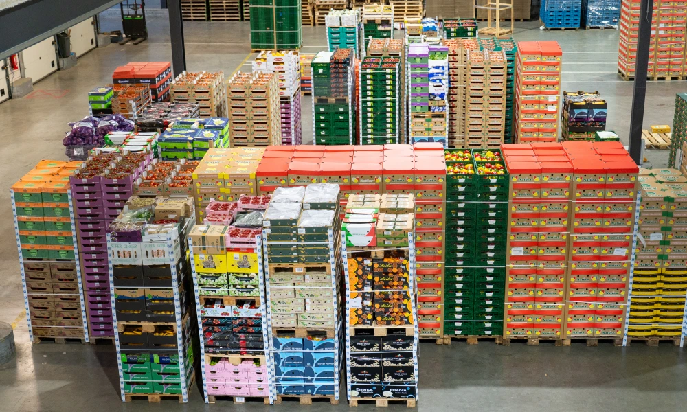 Beeldbank Solleveld 63